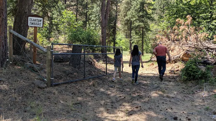 Teancum Timbers Recreation Camp 2