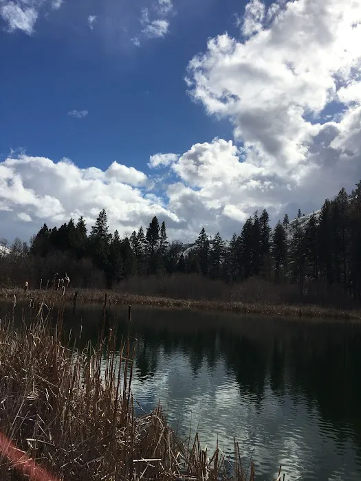 Tucannon Campground 2