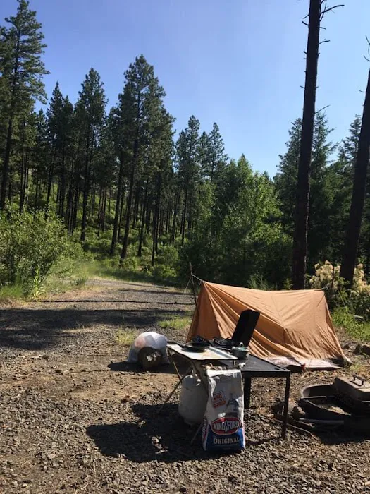 Tucannon Campground 0