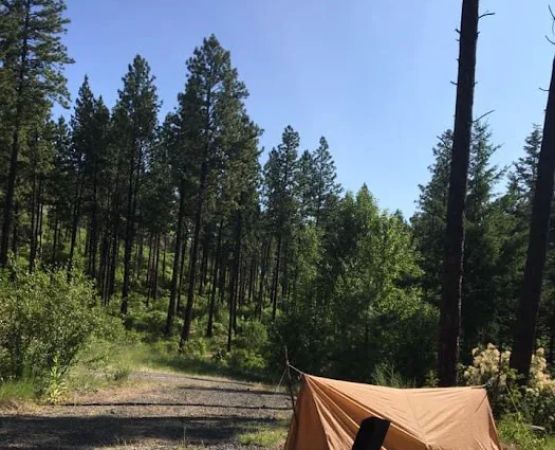 Tucannon Campground