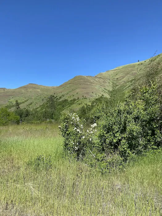 Tucannon Campground 5