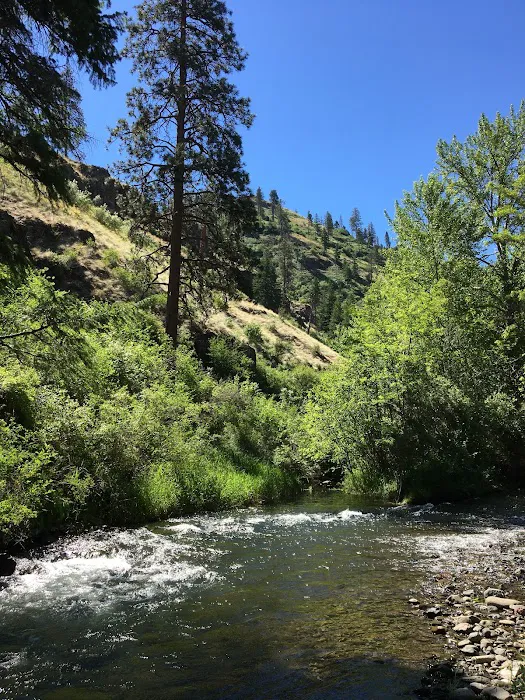 Tucannon Campground 6