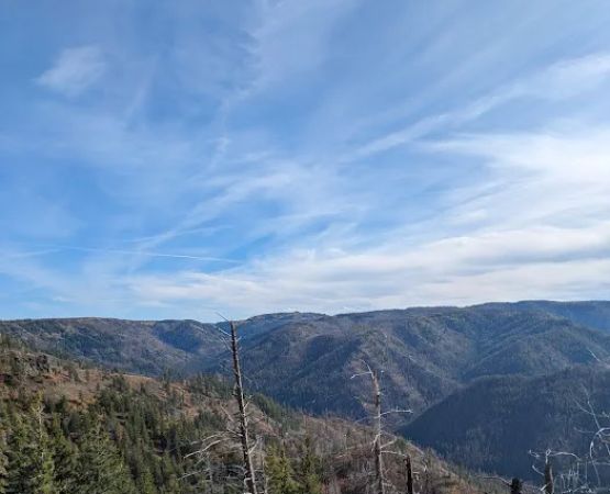 Teal Spring Campground