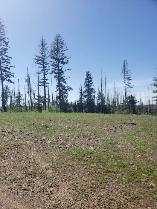 Teal Spring Campground 8