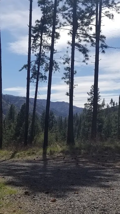 Wenaha -Tucannon Wilderness Dispersed Campground #6 2