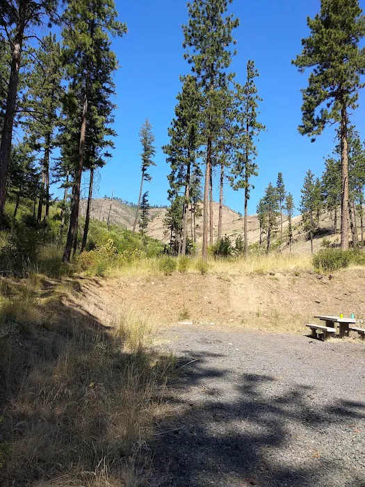 Wenaha -Tucannon Wilderness Dispersed Campground #6 4