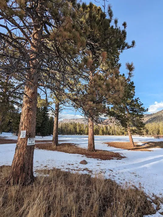 Big Springs Campground 2