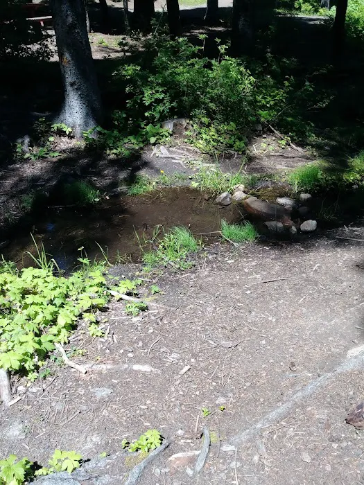 Big Springs Campground 3