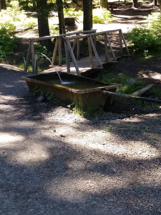 Big Springs Campground 6