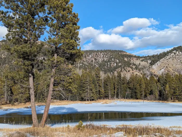 Big Springs Campground 4