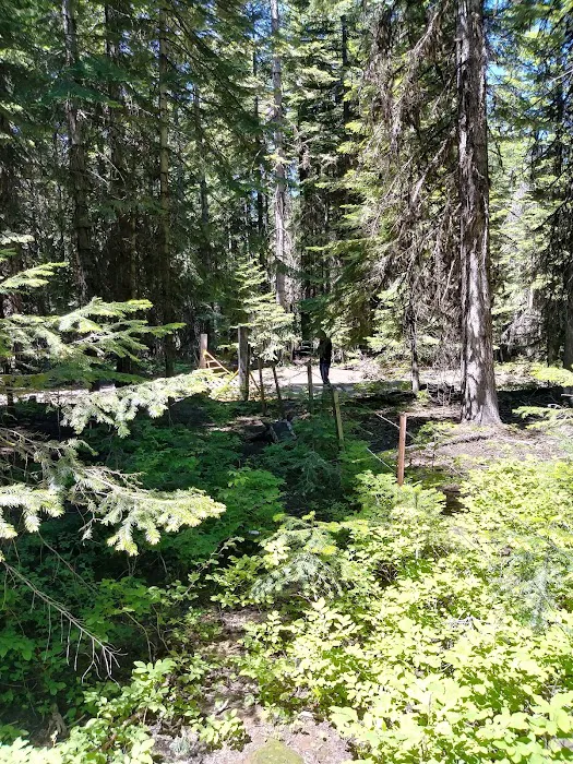 Big Springs Campground 7
