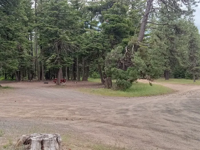 Alder Thicket Campground 1