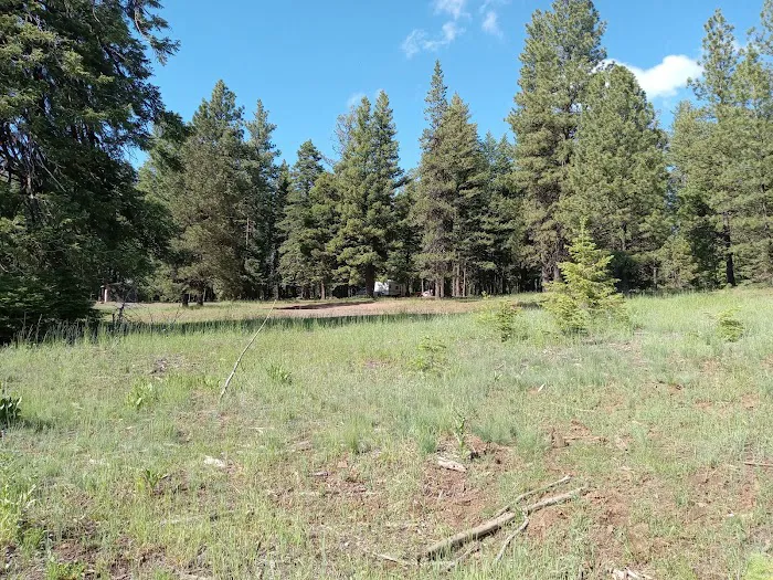 Alder Thicket Campground 7