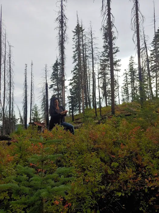 Wickiup Campground 6