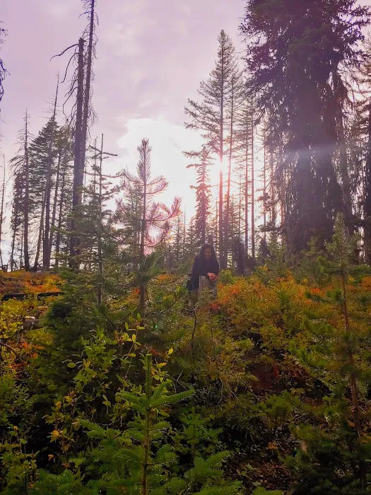 Wickiup Campground 8