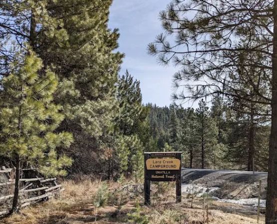 Lane Creek Campground