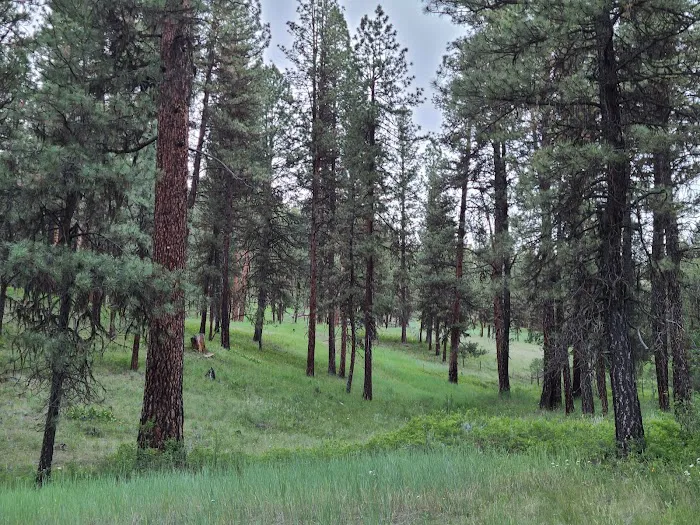 Driftwood Campground 8