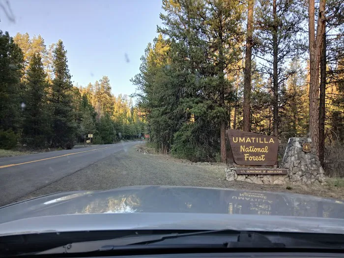 Bear Wallow Creek Campground 3
