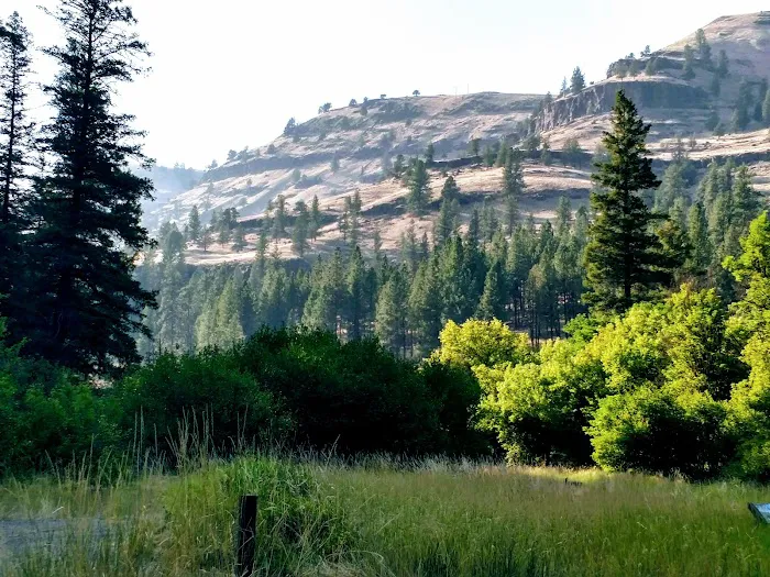 Tollbridge Campground 1
