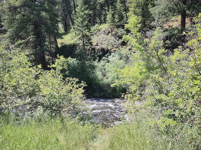 Tollbridge Campground 0