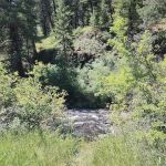 Tollbridge Campground