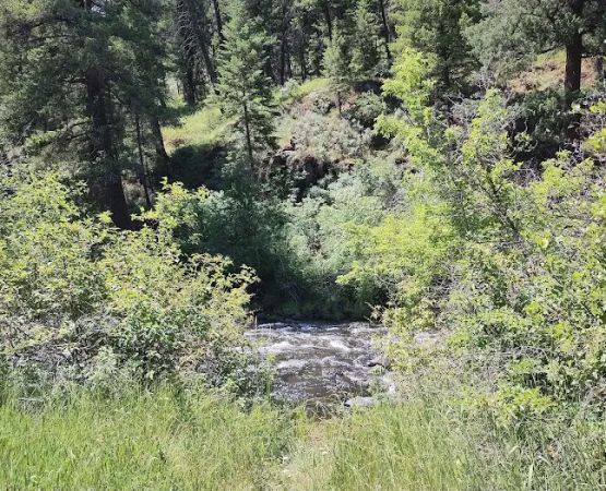 Tollbridge Campground
