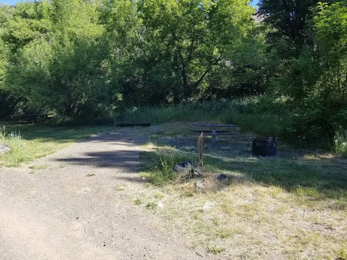 Tollbridge Campground 8