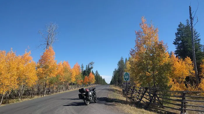 Tollbridge Campground 9