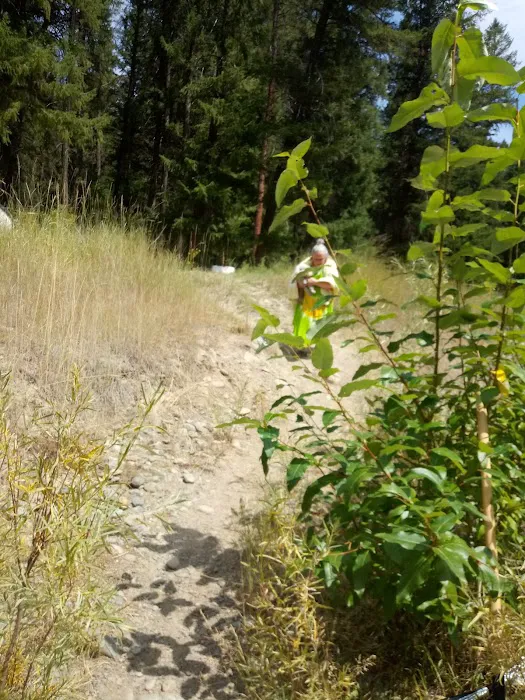 Gold Dredge Campground 5