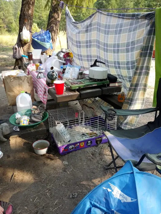 Gold Dredge Campground 0