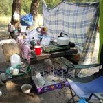 Gold Dredge Campground