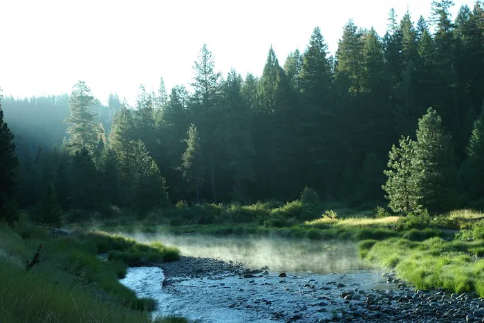 Gold Dredge Campground 9