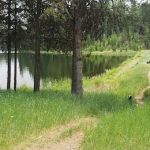 Penland Lake Campground