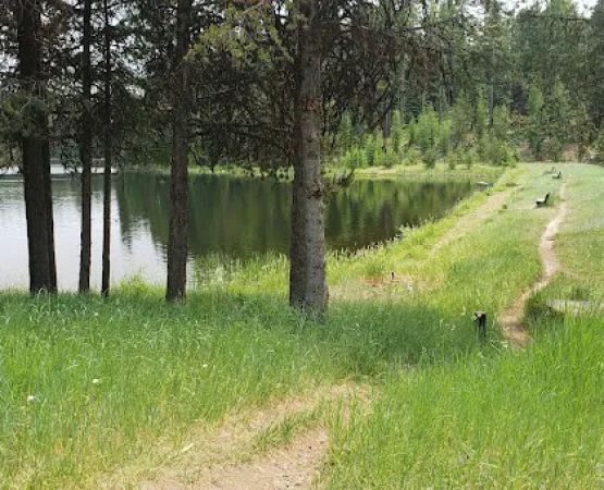 Penland Lake Campground