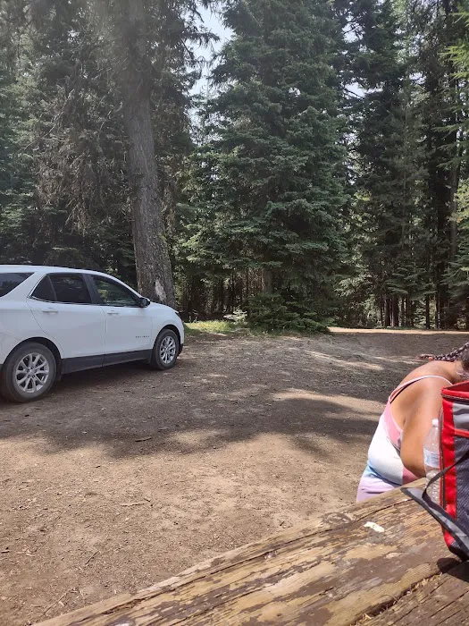 Penland Lake Campground 7