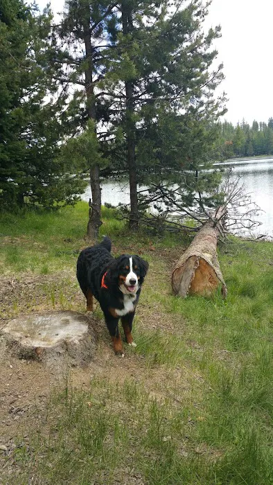 Penland Lake Campground 9