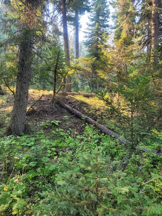 Cutsforth Campground 0