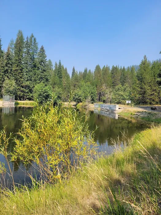 Cutsforth Campground 1