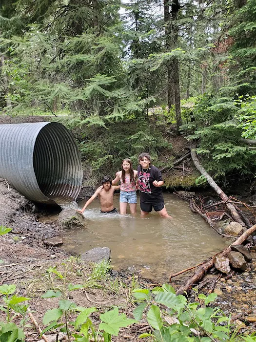 Cutsforth Campground 5