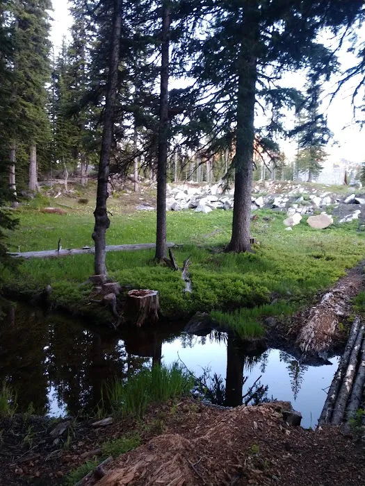 Mud Lake Campground 1