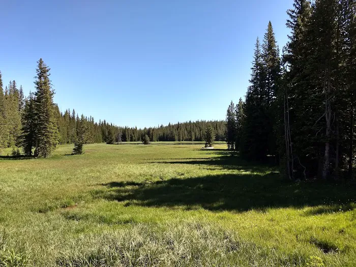Mud Lake Campground 4