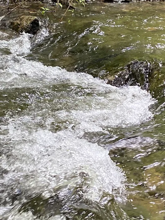 McCully Forks Campground 2