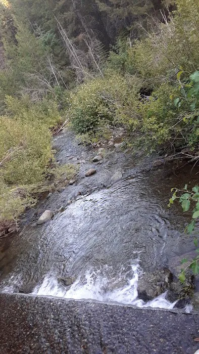 McCully Forks Campground 4
