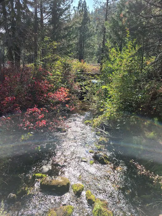 McCully Forks Campground 5