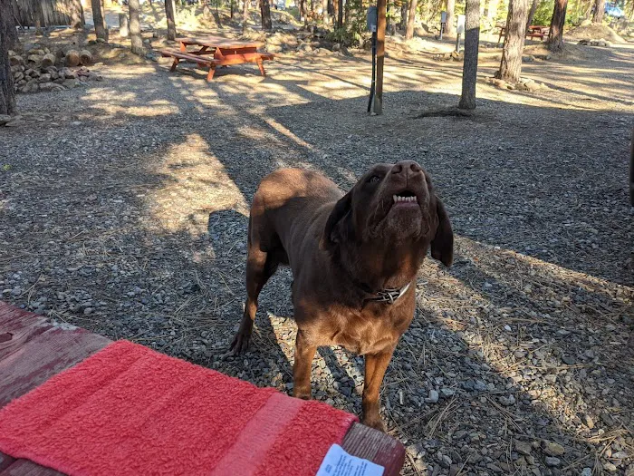 Gold Rush RV Park 1
