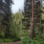 Deer Creek Campground