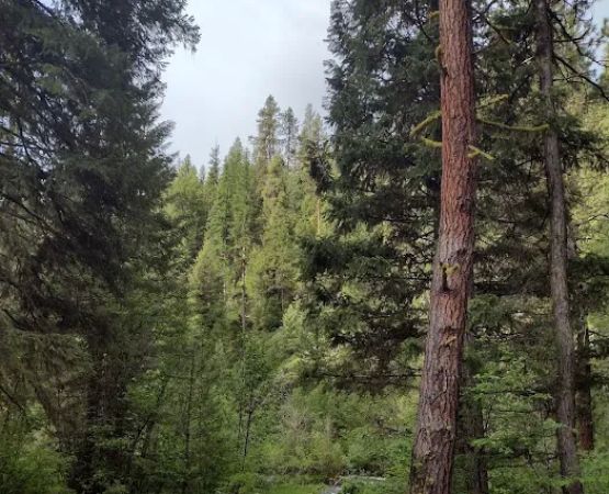 Deer Creek Campground