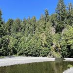 Redwood Creek Dispersed Camping