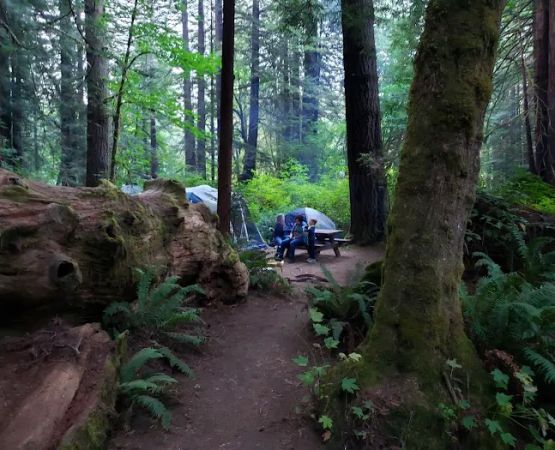 Mill Creek Campgrounds