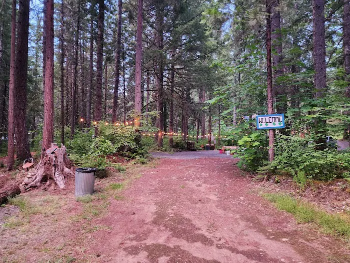 Mckenzie River Forest Retreat Outdoor Stays 0